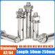 Stainless Steel Masonry Expansion Bolt Wall Anchor — M6 to M20, A2 & A4, Concrete Sleeve Anchor