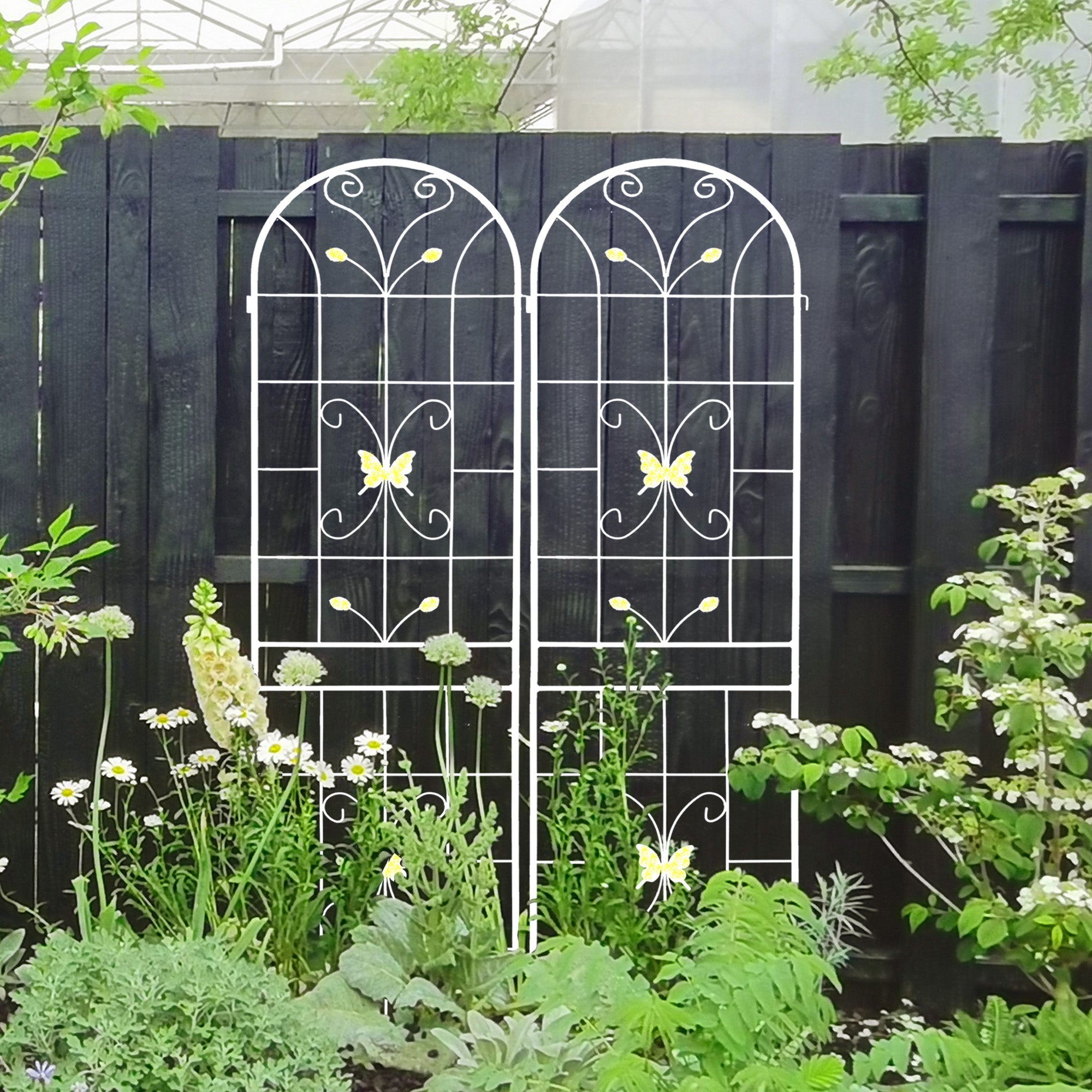 Metal Garden Trellis for Climbing Plants – Rustproof Powder Coated, Cream White & Black (2 or 4-Pack)