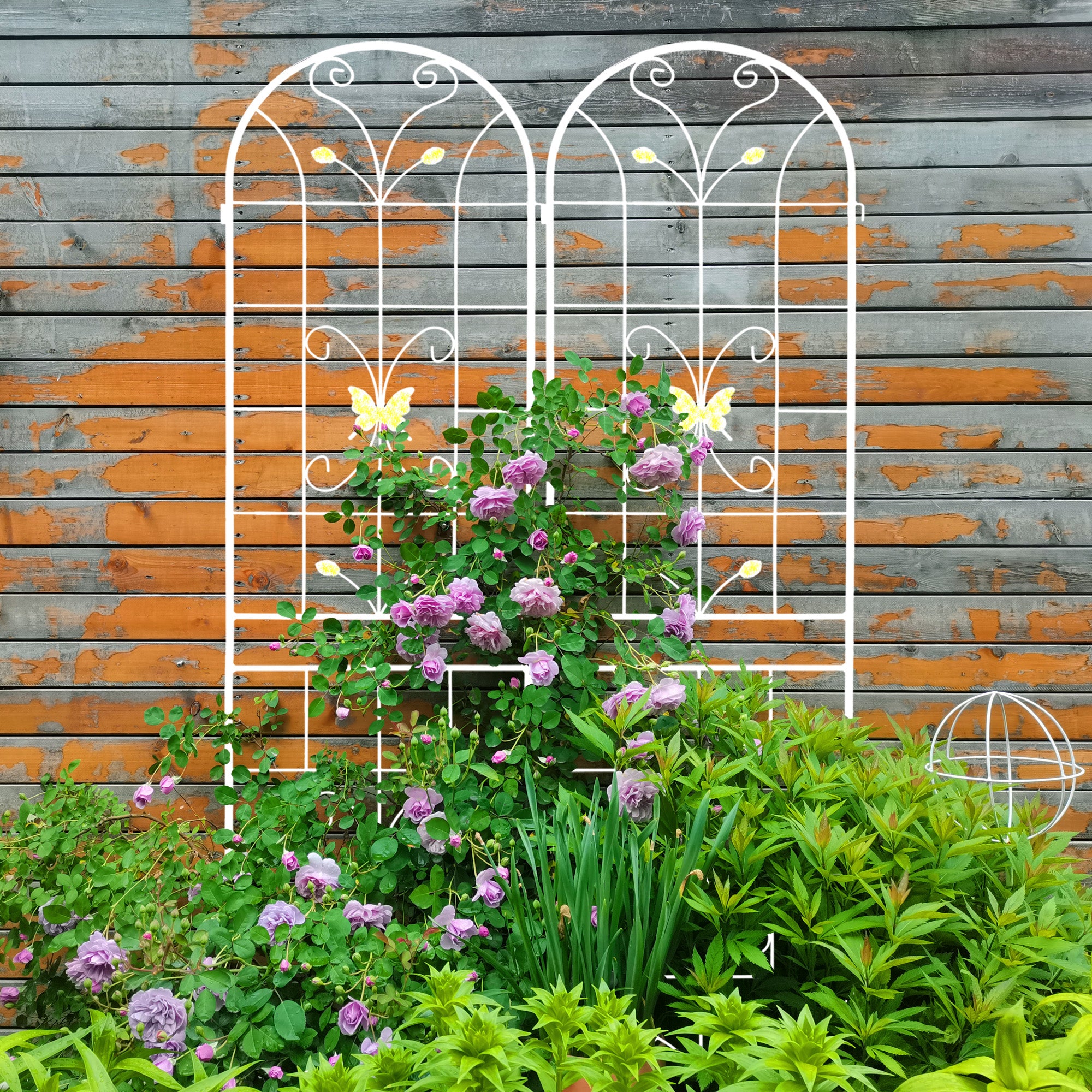 Metal Garden Trellis for Climbing Plants – Rustproof Powder Coated, Cream White & Black (2 or 4-Pack)