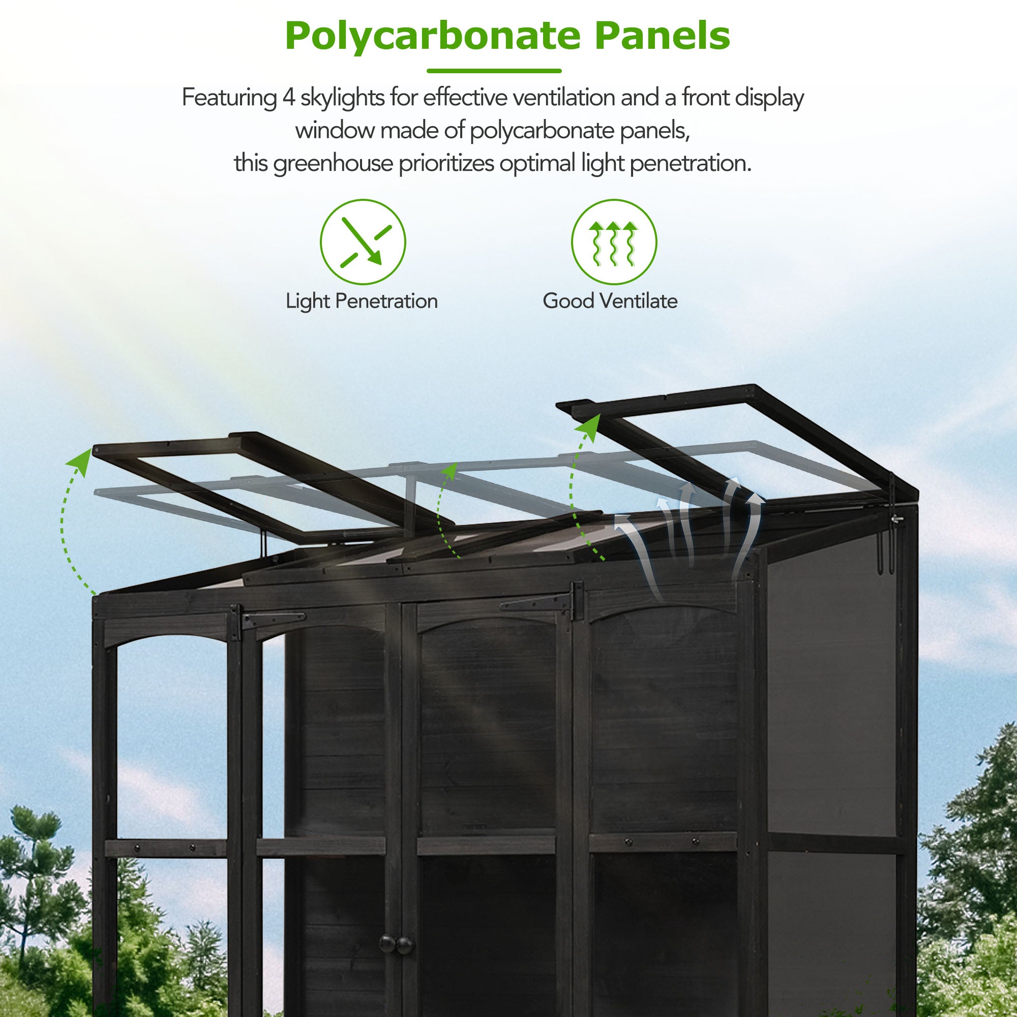 78‑Inch Wooden Walk‑In Greenhouse Cold Frame — 4 Skylights, 2 Folding Shelves & Polycarbonate Panels Black