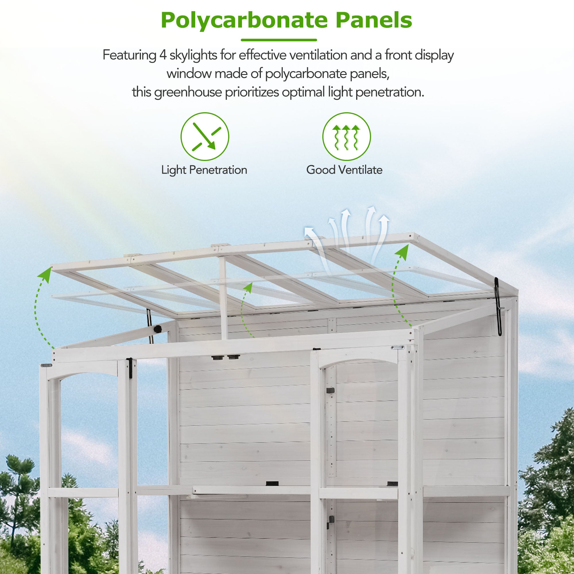 78‑Inch Wooden Walk‑In Greenhouse Cold Frame — 4 Skylights, 2 Folding Shelves & Polycarbonate Panels White