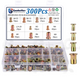 300PCS Zinc Steel Rivet Nut Kit Rivnut Nutsert Assort 150Pcs SAE + 150Pcs Metric