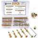 M6 Furniture Bolts & Barrel Nuts Kit 51-Piece – Hex Socket Screws with Allen Key for Bed Frames & Flat-Pack Furniture