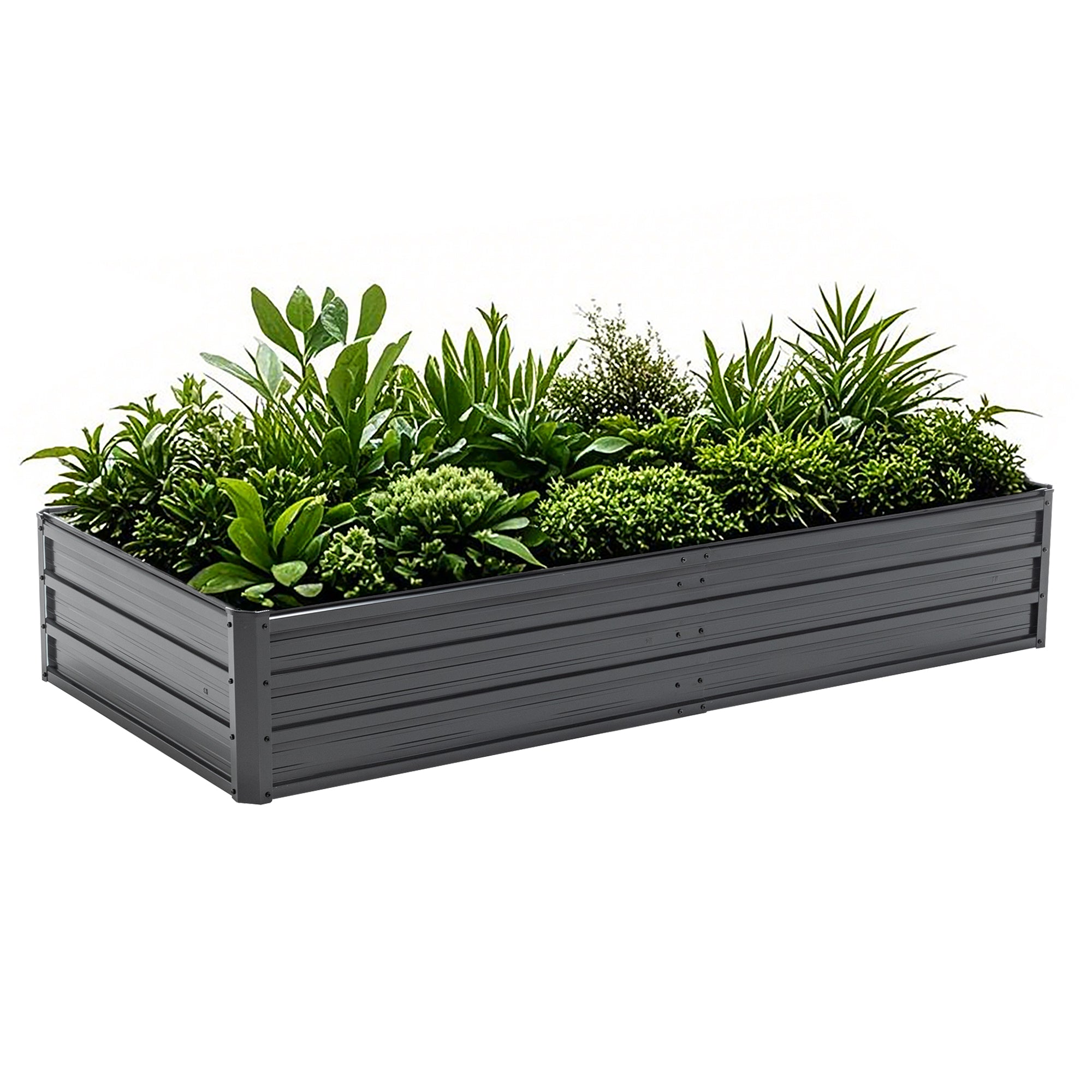 galvanized metal indoor succulent planters 6x3 FT Galvanized Steel Planter