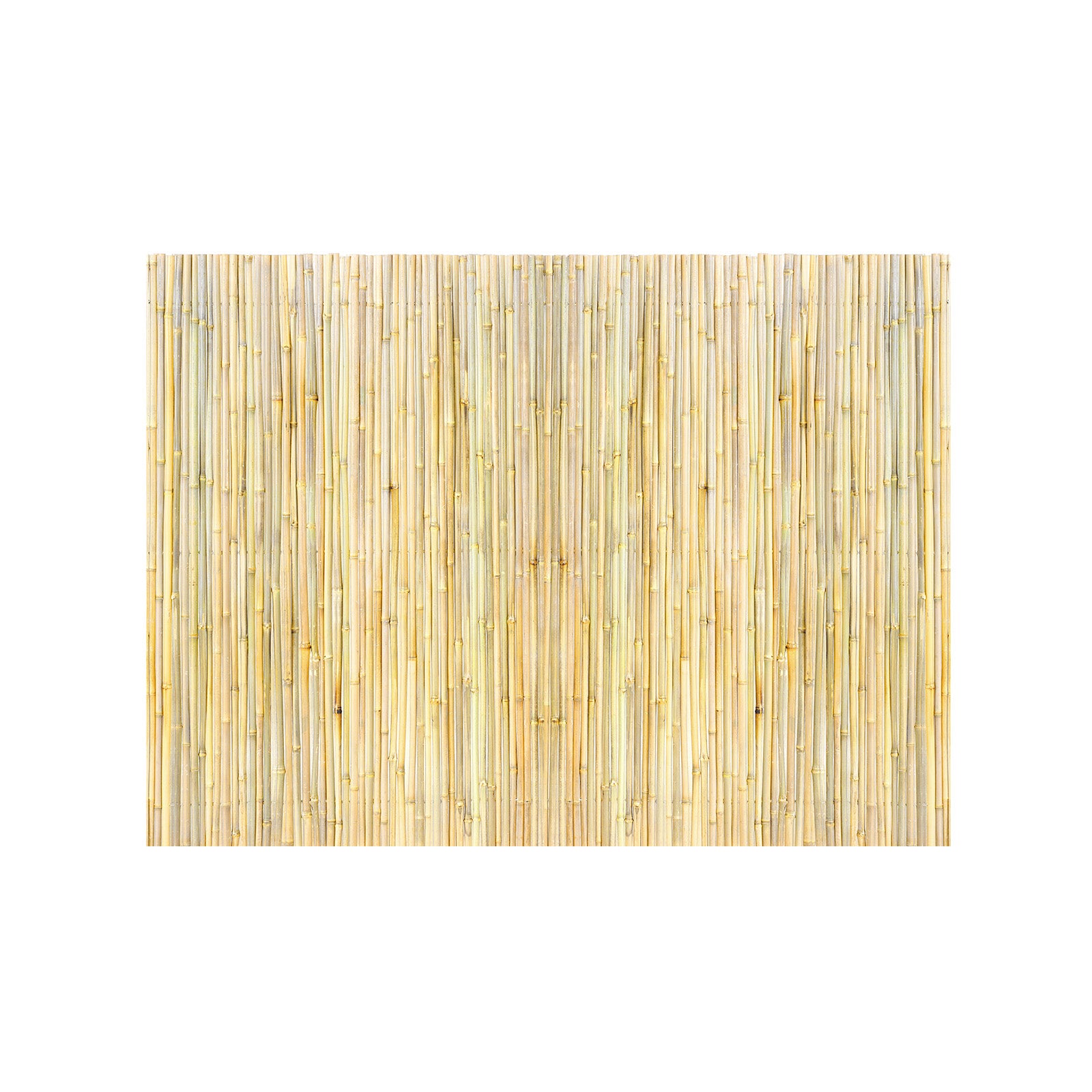 4 ft H x 6 ft L Natural Rolled Bamboo Fence Panel — Outdoor Privacy Screen, Garden & Patio Decor
