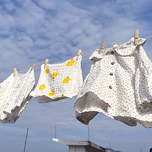 Retractable Clothesline -HomeDIYer