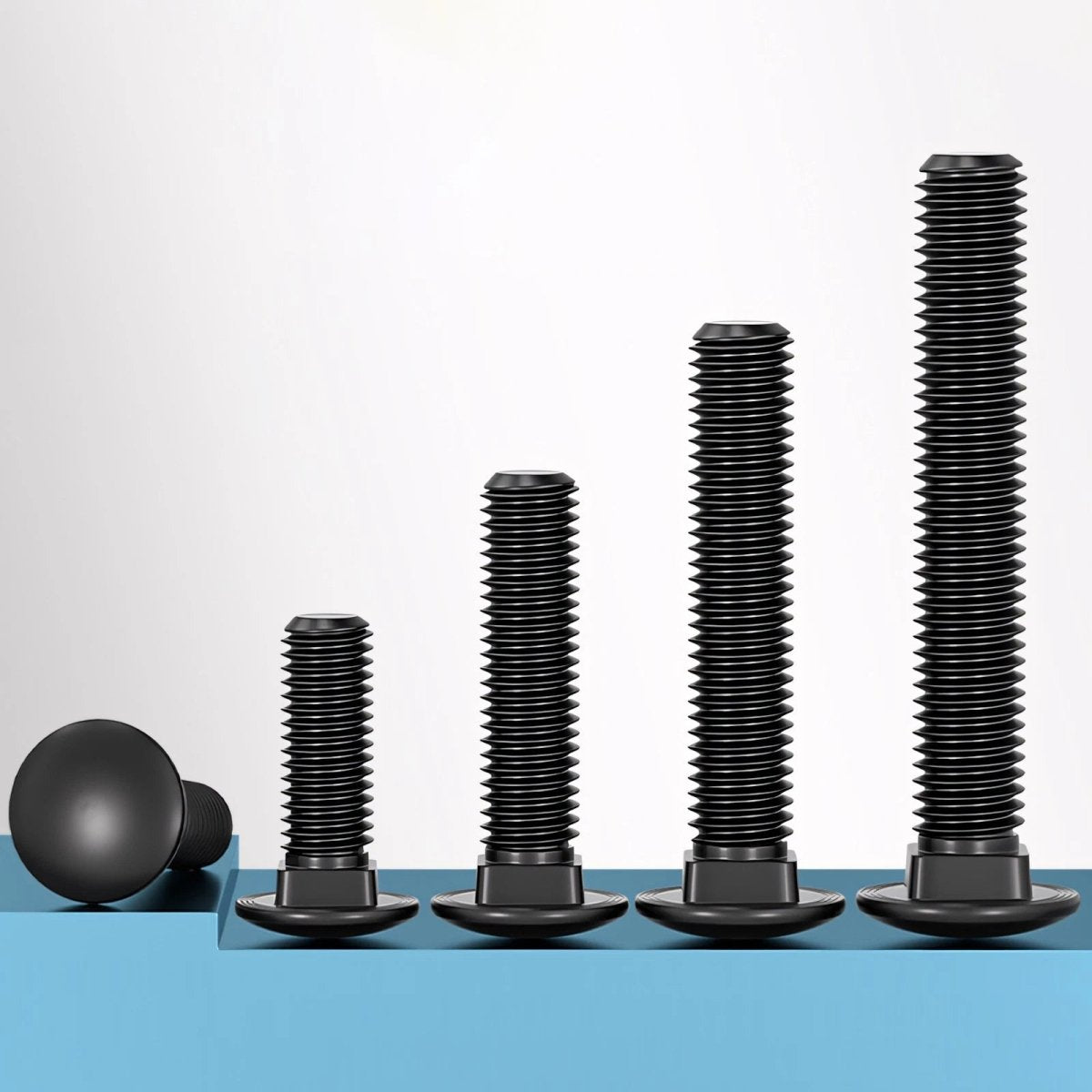 M8 M10 M12 Carriage Bolts – Cup Square Domed Head, Black A2 - 70 Stainless Steel - HomeDIYer