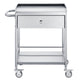 VEVOR Medical Cart, 2-Layer Stainless Steel Cart 220 lbs Weight Capacity, Lab Utility Cart with 360° Silent Wheels and a Drawer for Lab, Clinic, Kitchen, Salon