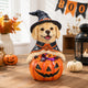Halloween Labrador Witch Figurine with Pumpkin Candy Bowl, 12.6 in