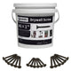1000pcs High Hardness Drywall Screws, Black, Coarse Thread, Phillips Drive, Bugle Head, BlackScrews, USB for Wood and More
