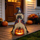 Halloween Bulldog Witch Statue with LED Pumpkin, 19.69-Inch Resin