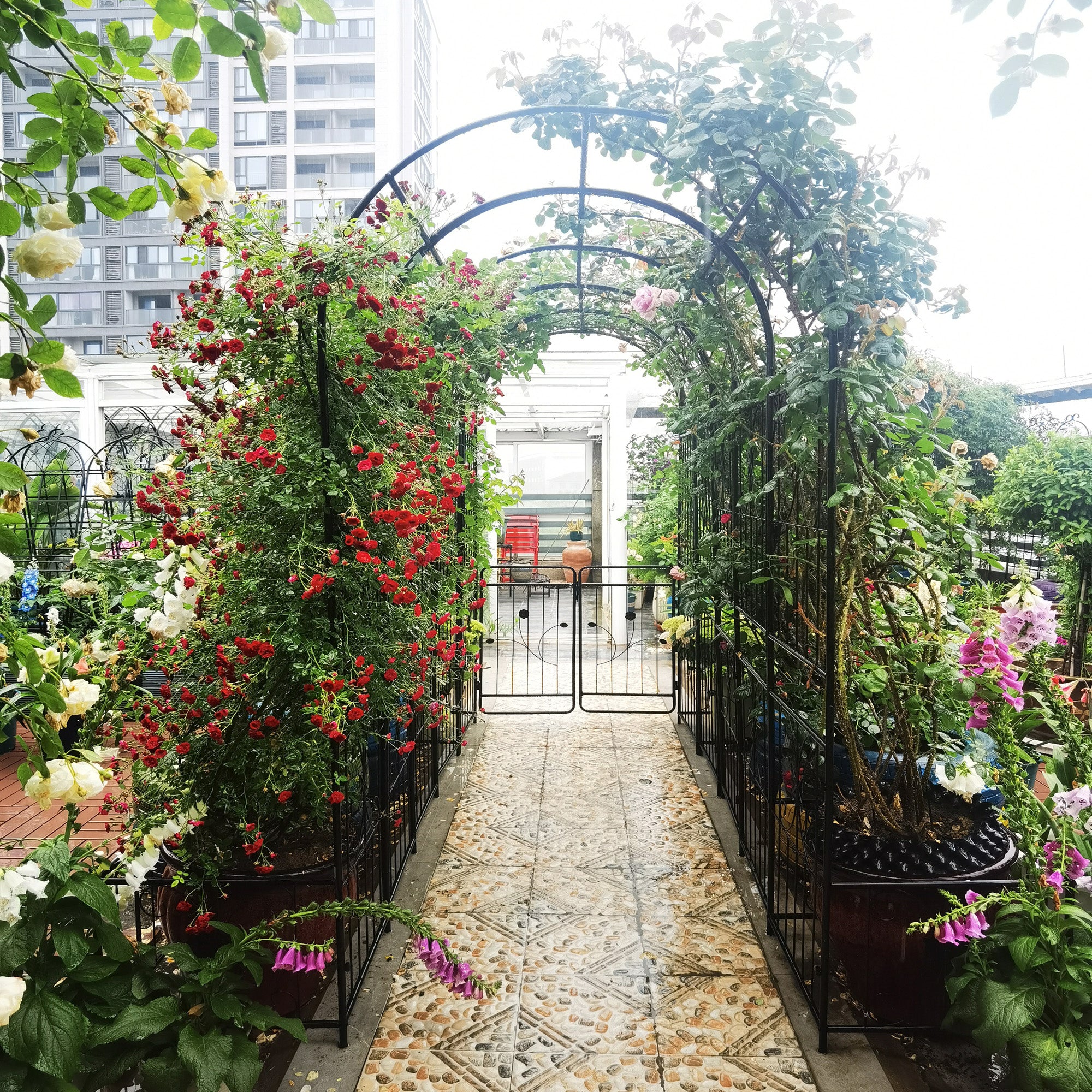 Metal Garden Arch with two plant stands 79.5'' Wide x 86.6'' High Climbing Plants Support Rose Arch Outdoor Black