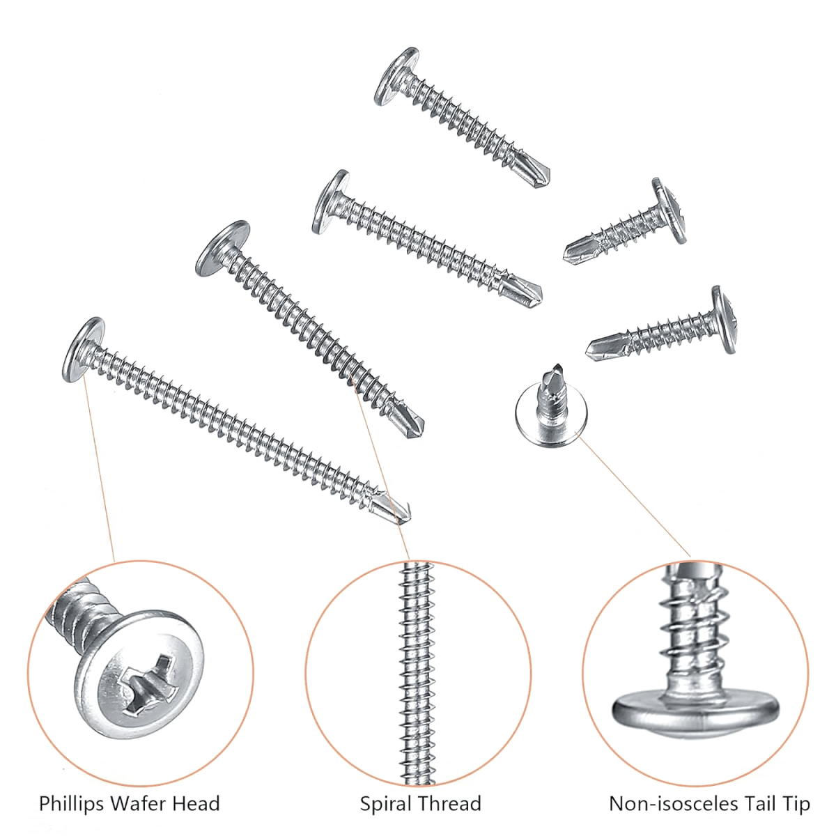 190pcs 8 Sheet Metal Self Tapping/Drilling Screws Stainless Steel Wafer Head - HomeDIYer