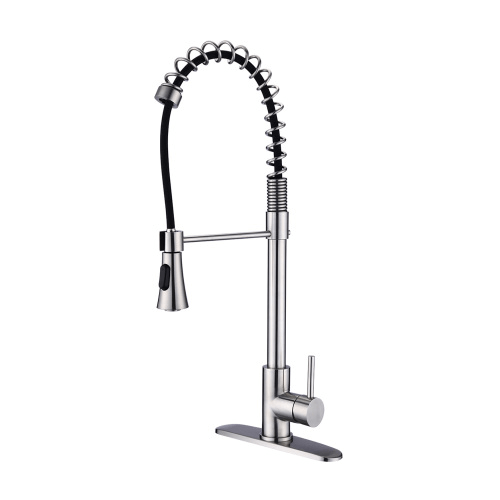 Brushed Nickel Single Handle Commercial Modern Spring High Arc Kitchen Faucet Water Filter System Bends as You Want - HomeDIYer