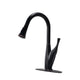 Oil-Rubbed Bronze Kitchen Faucet with Pull-Out Sprayer | Single Handle | 1.75 GPM