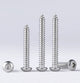 M3–M6 Hex Drive Pan Head Self-Tapping Screws – 304 Stainless Steel