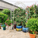 Metal Garden Arch Assemble Freely with 8 Styles Garden Arbor Trellis Climbing Plants Support Rose Arch Outdoor Arch Wedding Arch Party Events Archway Cream White