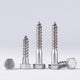 M12 A2 Stainless Steel Hex Head Lag Bolts – DIN571 Wood Screw, Multiple Lengths & Quantities