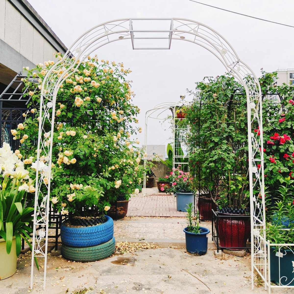 Metal Garden Arch W74.4'' x H98.4'' Garden Arbor Trellis Climbing Plants Support Rose Arch Outdoor Arch Cream White - HomeDIYer