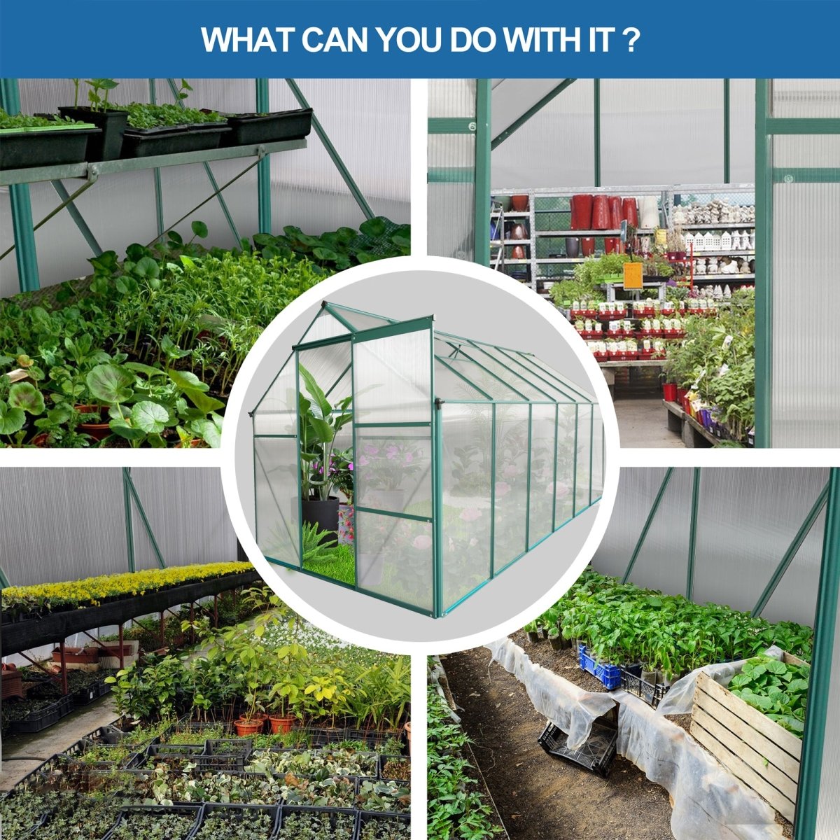 6x12 FT Polycarbonate Greenhouse Raised Base and Anchor Aluminum Heavy Duty Walk - in Greenhouses for Outdoor Backyard in All Season - HomeDIYer
