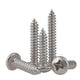 M1–M2.6 Phillips Pan Head Self Tapping Screws – 304 Stainless Steel