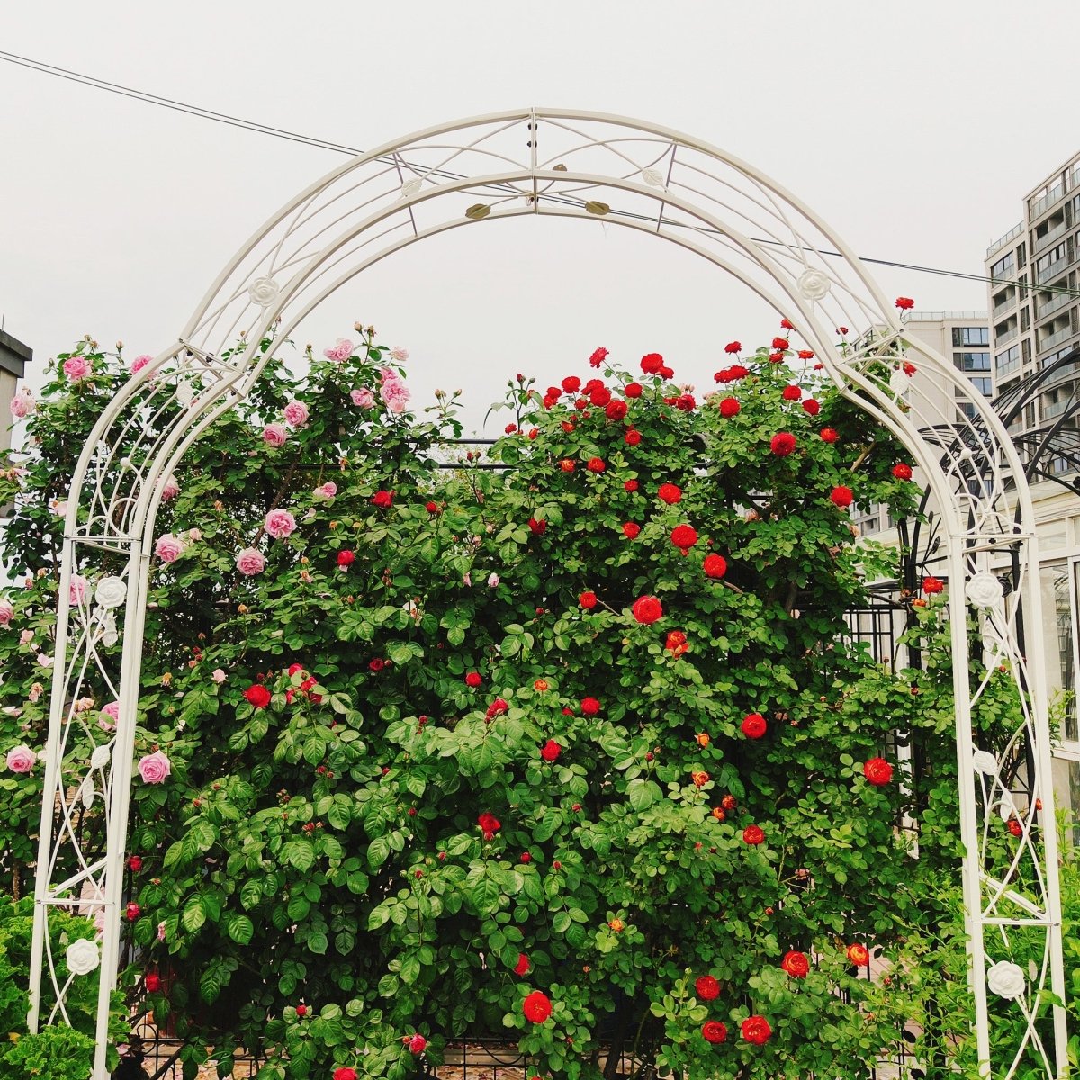 Metal Garden Arch Assemble Freely with 8 Styles Garden Arbor Trellis Climbing Plants Support Rose Arch Outdoor Arch Wedding Arch Party Events Archway Cream White - HomeDIYer