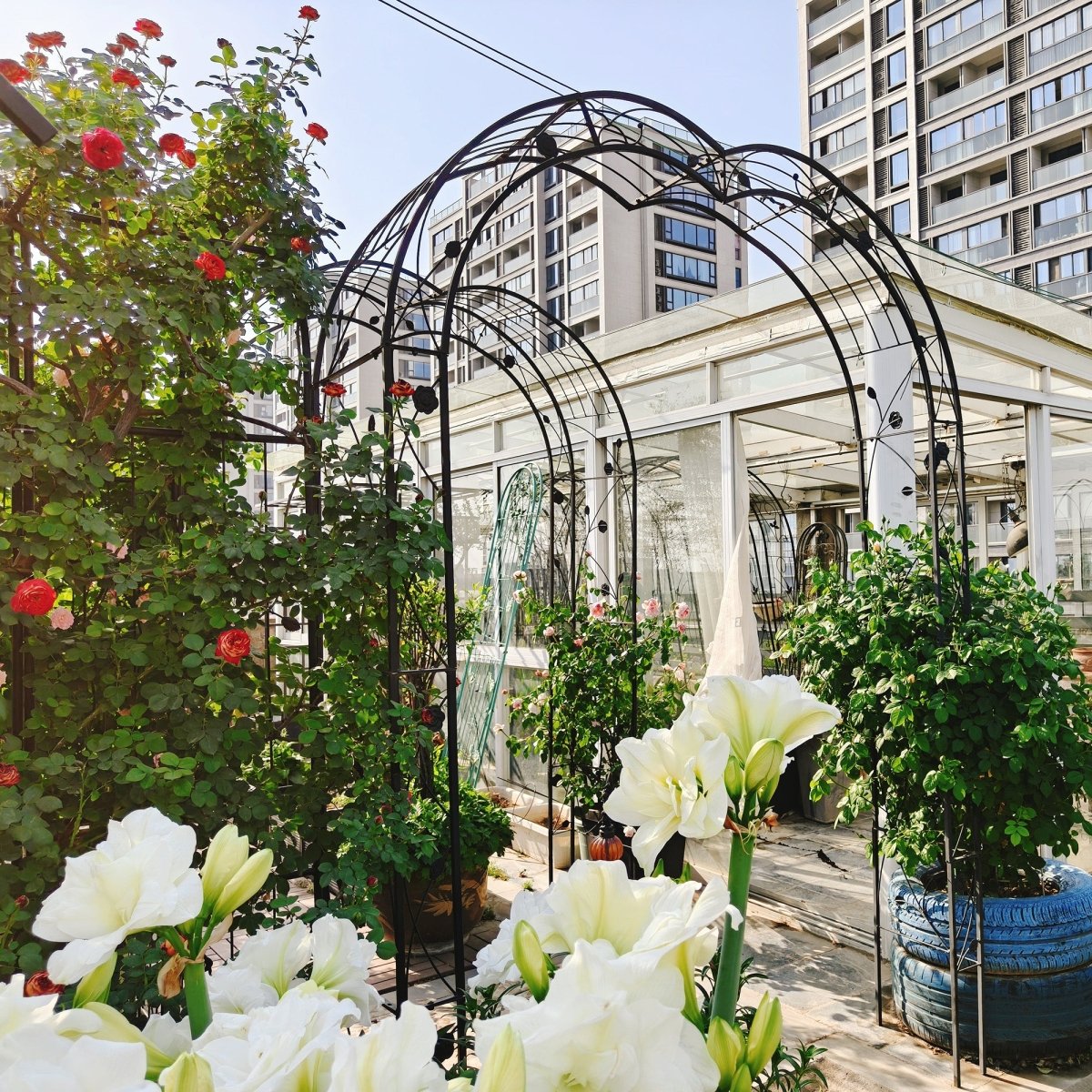 Metal Garden Arch Assemble Freely with 8 Styles Garden Arbor Trellis Climbing Plants Support Rose Arch Black - HomeDIYer