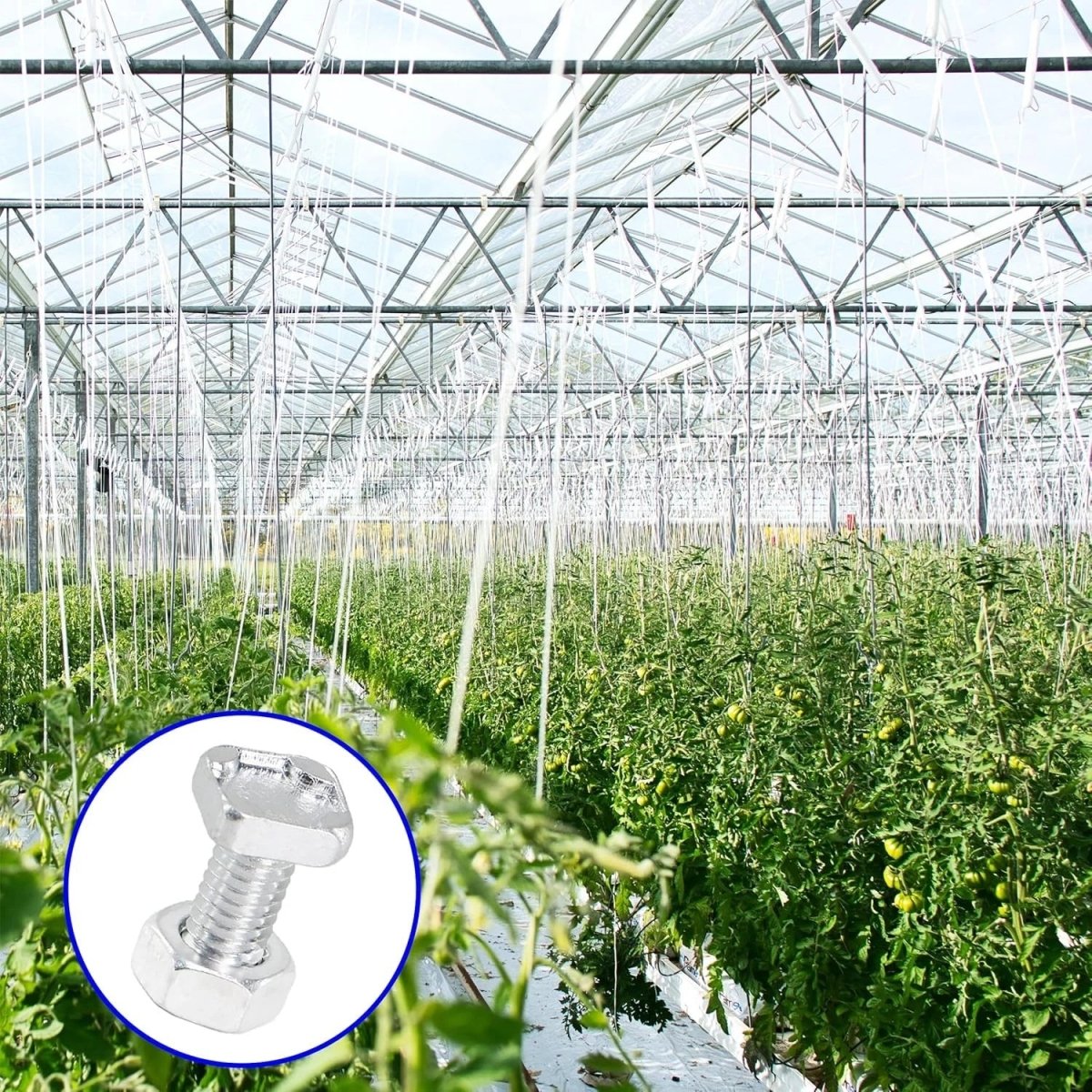 M4 M5 M6 M8 Square Head Bolts Full Thread 304 Stainless Steel — 12 to 80mm - HomeDIYer