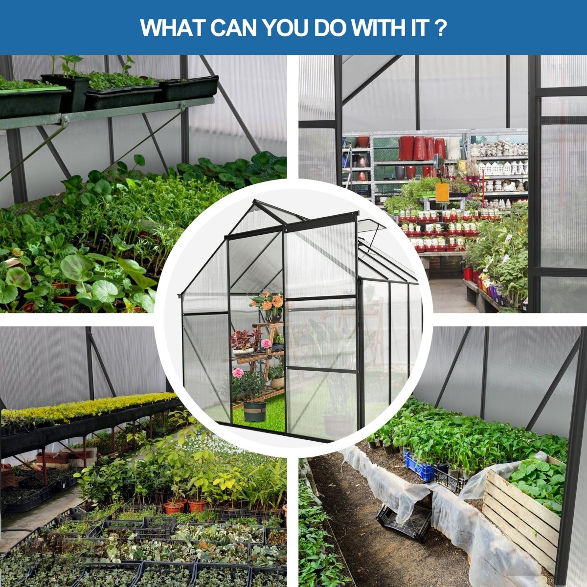 6x8 FT Polycarbonate Greenhouse Raised Base and Anchor Aluminum Heavy Duty Walk - in Greenhouses for Outdoor Backyard in All Season - HomeDIYer