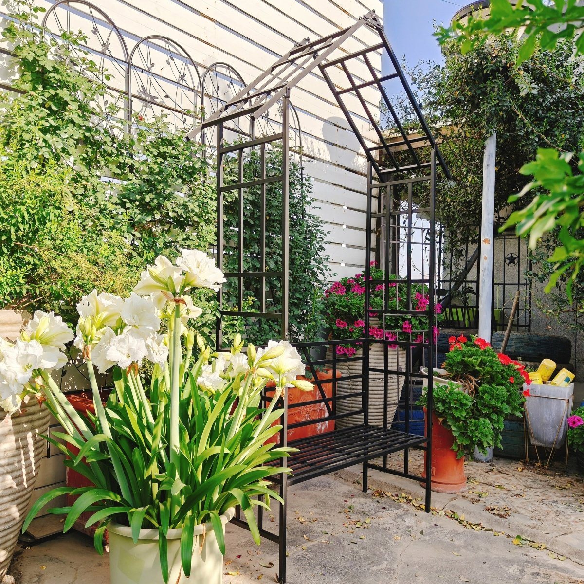 Metal Garden Arch with Bench Turned into Flower Stand W58.07*H97.24 Climbing Plants Support Rose Arch Outdoor Black - HomeDIYer