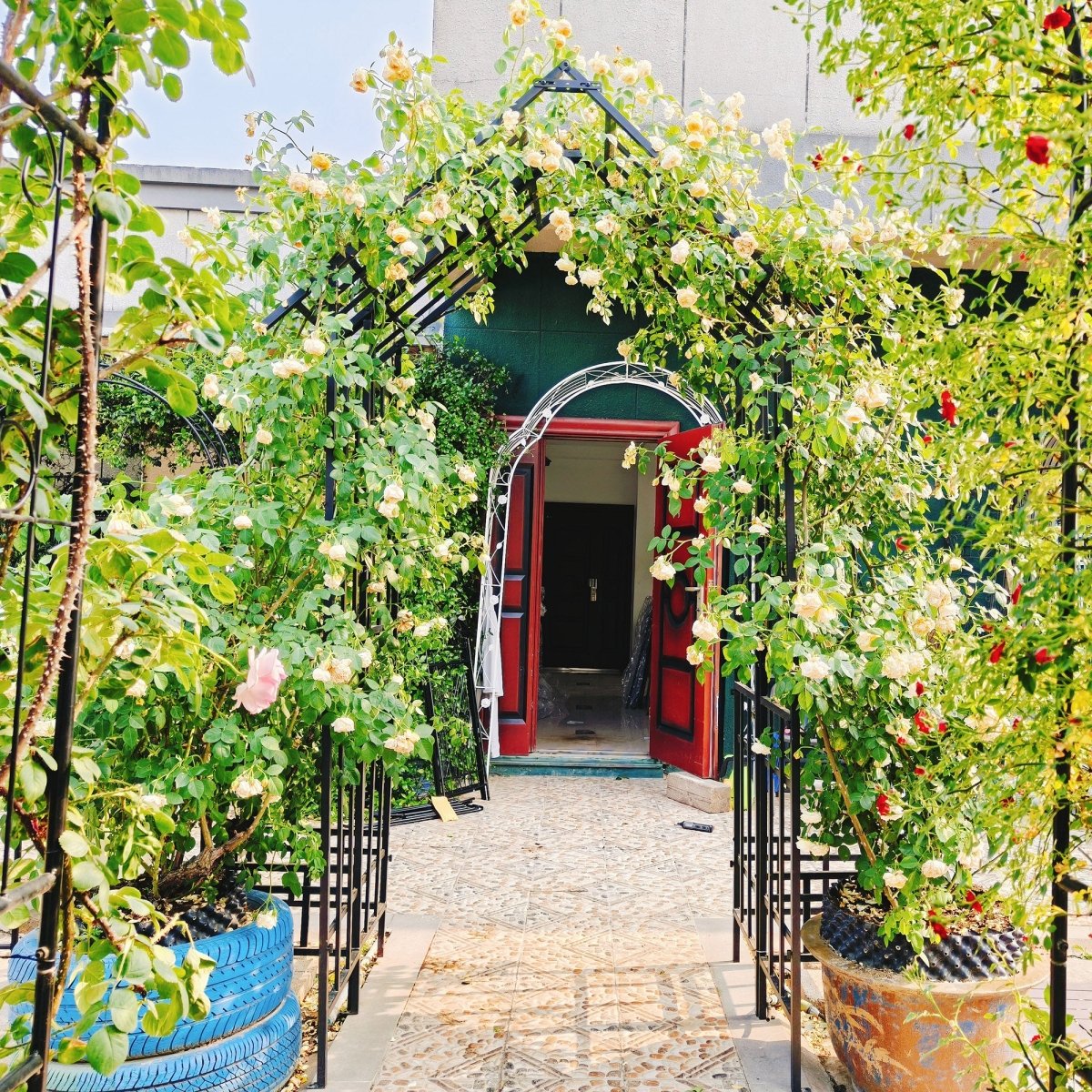 Metal Garden Arch with Adjustable Width W42.52''~W78.15'' Climbing Plants Support Rose Arch Outdoor Black - HomeDIYer