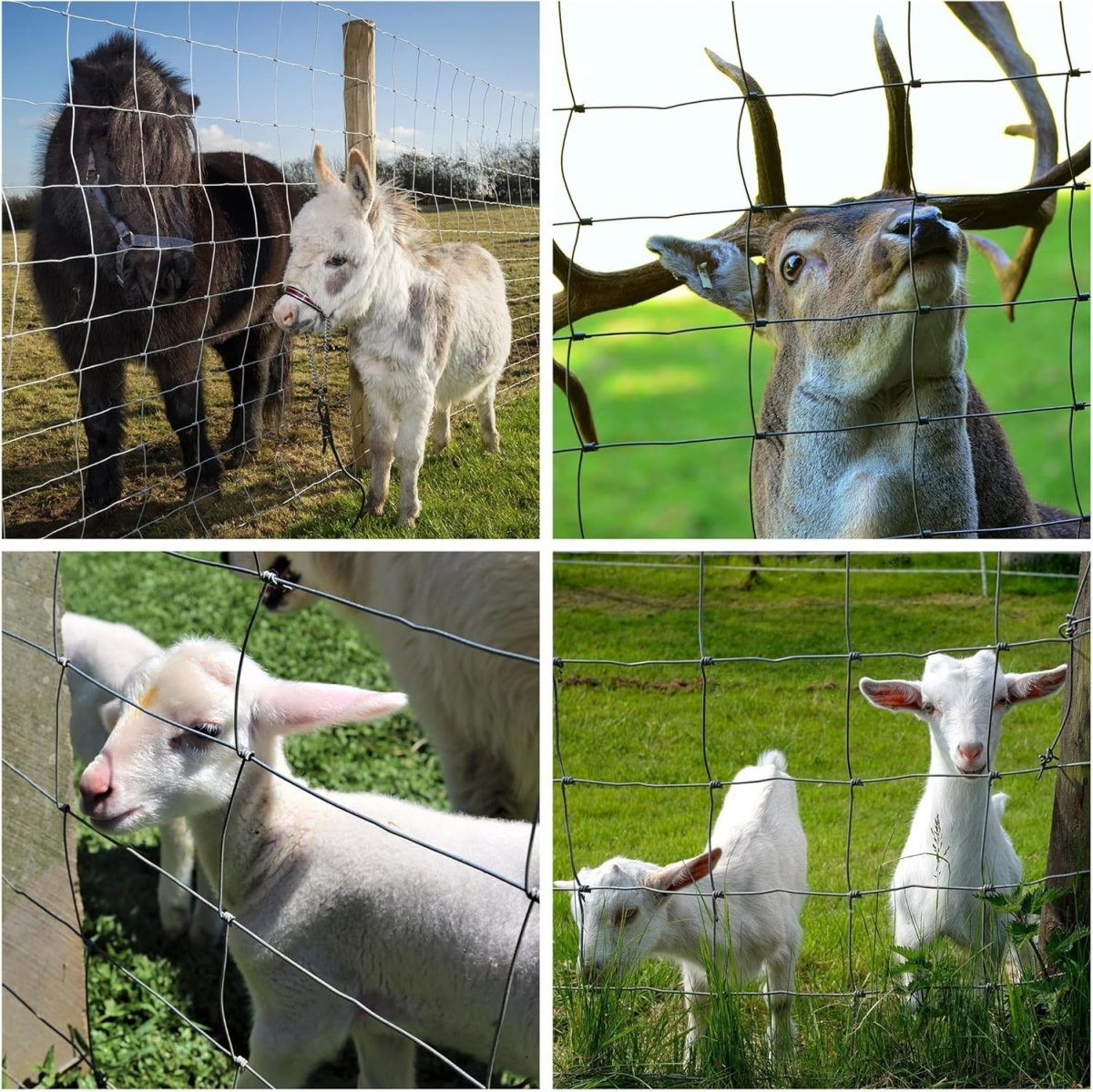 Farm Fence 3ft x 164ft 13Gauge Heavy Zinc Coating Cattle Fence,Galvanized Field Wire Fencing Deer Fence,Goat Fence,Hog Wire Fencing for Yard Livestock & Animals Protection - HomeDIYer