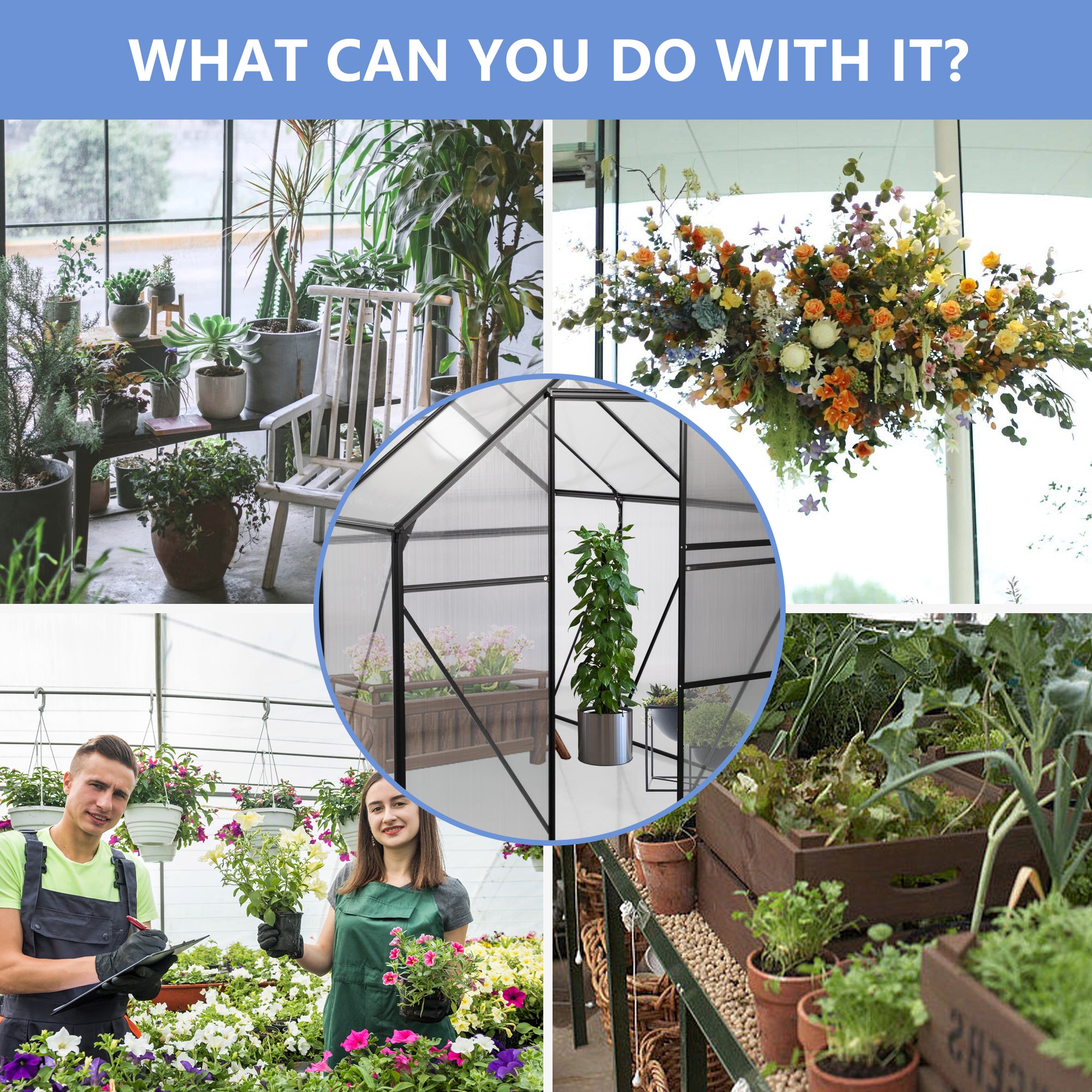 6X6FT-BLACK Polycarbonate Greenhouse Raised Base and Anchor Aluminum Heavy Duty Walk-in Greenhouses for Outdoor Backyard in All Season
