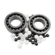 Si3N4 Silicon Nitride Roller Bearing Full Ball Ceramic Bearings Bore 6mm-50mm