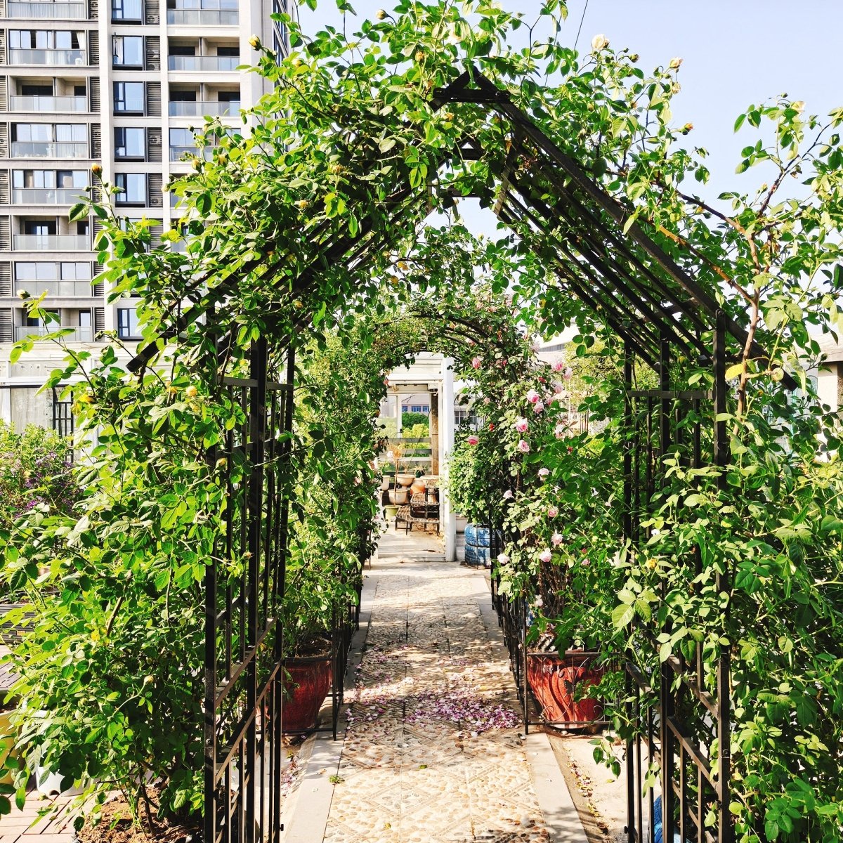 Metal Garden Arch with Adjustable Width W42.52''~W78.15'' Climbing Plants Support Rose Arch Outdoor Black - HomeDIYer