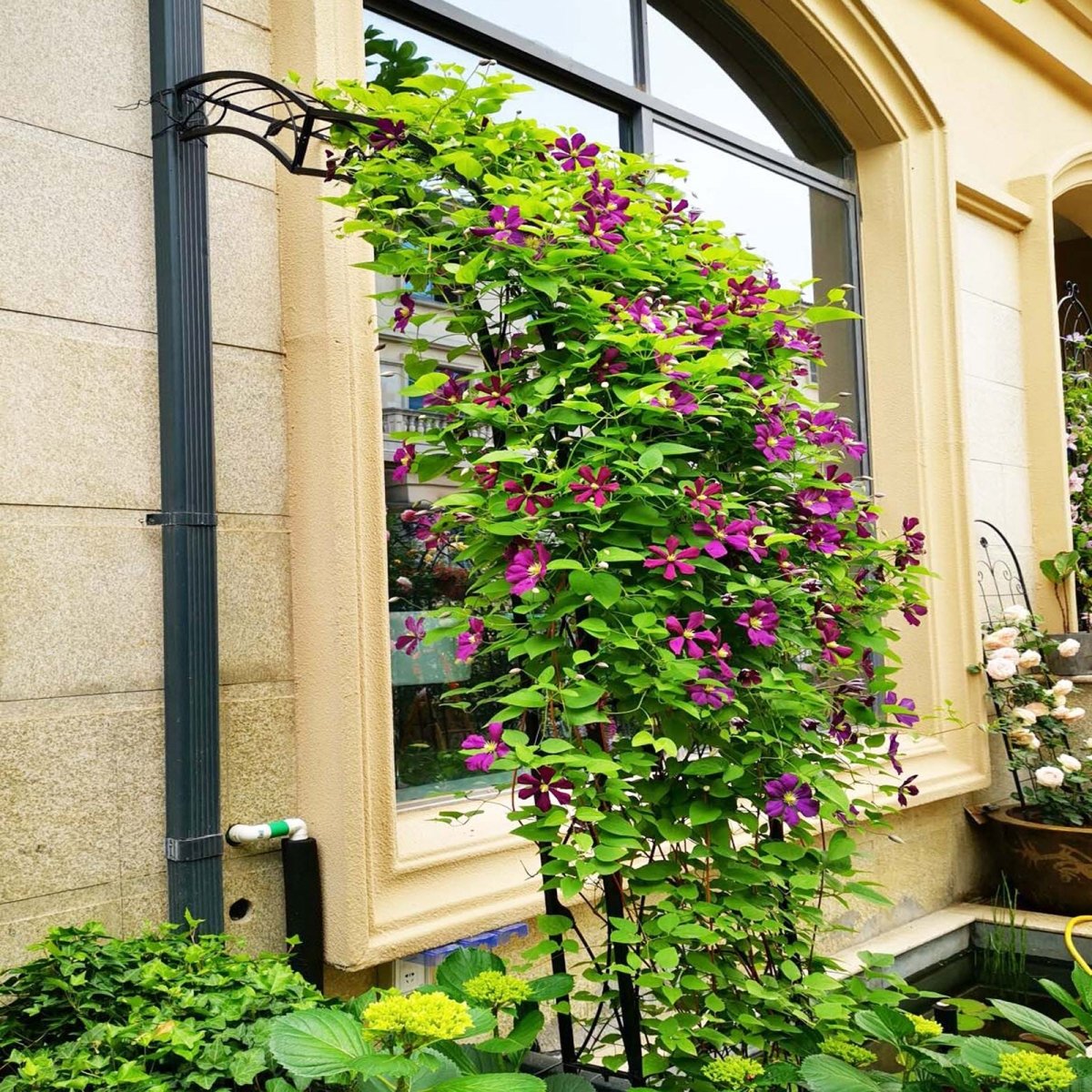 Metal Garden Arch Assemble Freely with 8 Styles Garden Arbor Trellis Climbing Plants Support Rose Arch Black - HomeDIYer
