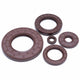 FKM Rotary Shaft Oil Seal TC Double Lip with Spring — ID 62–75mm, -30°C to 250°C