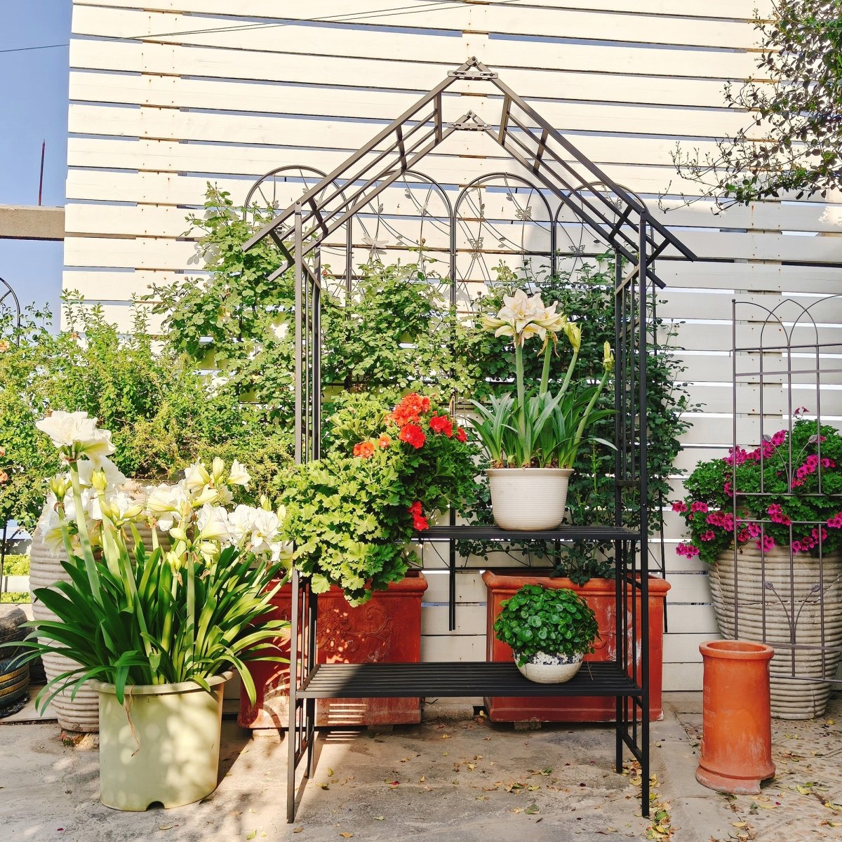 Metal Garden Arch with Bench Turned into Flower Stand W58.07*H97.24 Climbing Plants Support Rose Arch Outdoor Black - HomeDIYer