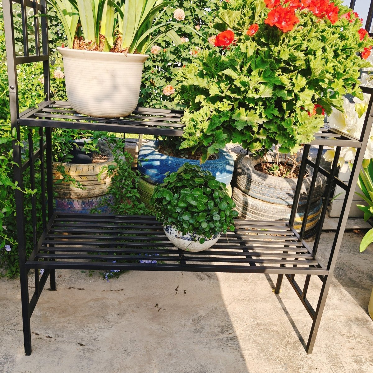 Metal Garden Arch with Bench Turned into Flower Stand W58.07*H97.24 Climbing Plants Support Rose Arch Outdoor Black - HomeDIYer