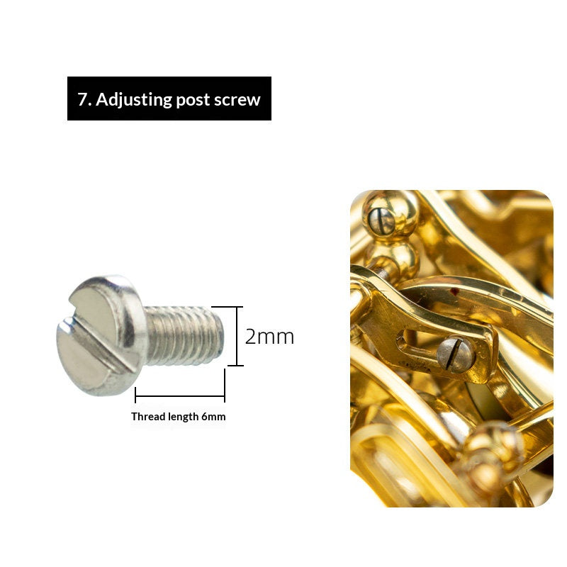 Saxophone Repair Parts Kit – Screws, Felt Posts, Key Button Covers & Reeds (Alto/Tenor/Soprano)