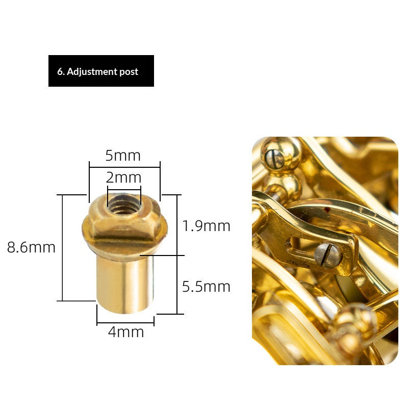 Saxophone Repair Parts Kit – Screws, Felt Posts, Key Button Covers & Reeds (Alto/Tenor/Soprano)