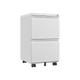 [requires assembly] Office Storage Cabinet, 2 Drawers File Cabinet With Lock Metal Vertical File Cabient With Wheels Mobile File Cabinet For Office Home Legal/Letter/a4 Size