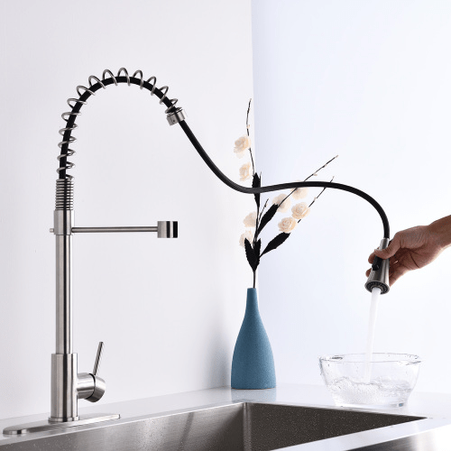 Brushed Nickel Single Handle Commercial Modern Spring High Arc Kitchen Faucet Water Filter System Bends as You Want - HomeDIYer