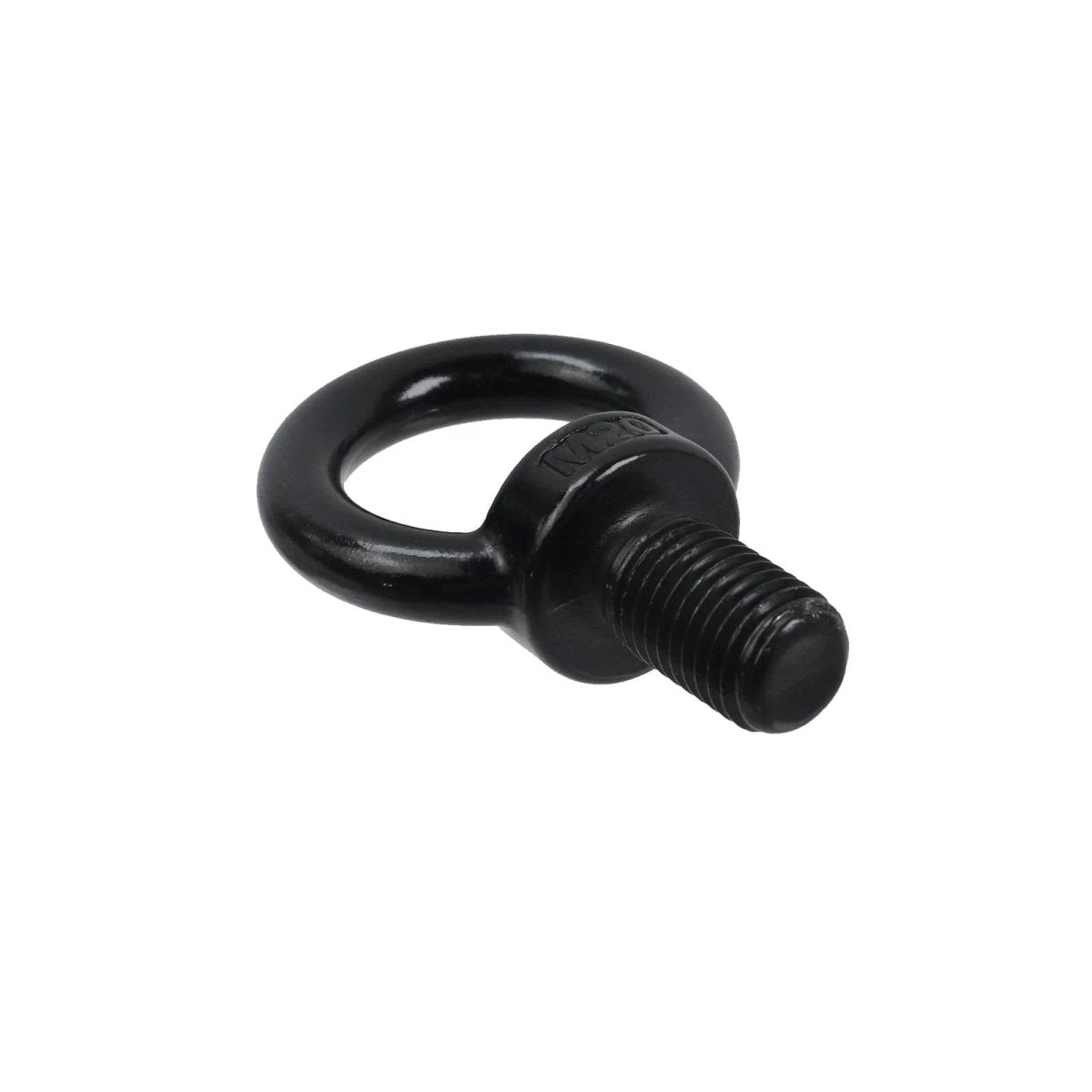 Black 304 Stainless Steel Eye Bolts and Eye Nuts — M3 to M20 Lifting Hardware - HomeDIYer