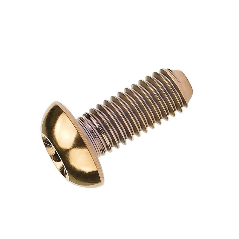 Titanium Bolt M5x10mm 12mm Round Head Screws TORX Ti Machine Bolts Metric