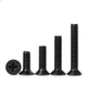 M2 Stainless Steel Black Phillips Flat Head Countersunk Machine Screws DIN 965