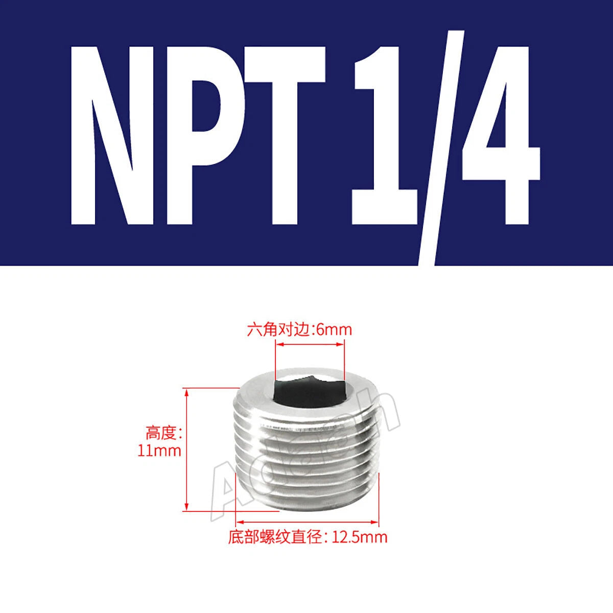 Male Allen Socket Pipe Plugs – 1/16" to 2" PT & NPT Threads, 304 Stainless Steel End Caps