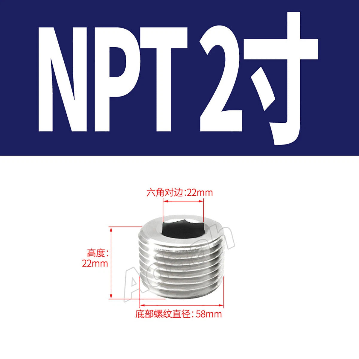 Male Allen Socket Pipe Plugs – 1/16" to 2" PT & NPT Threads, 304 Stainless Steel End Caps