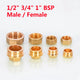 BSP Brass Pipe End Cap & Blanking Plug — 1/2", 3/4", 1" Male Plug & Female Cap