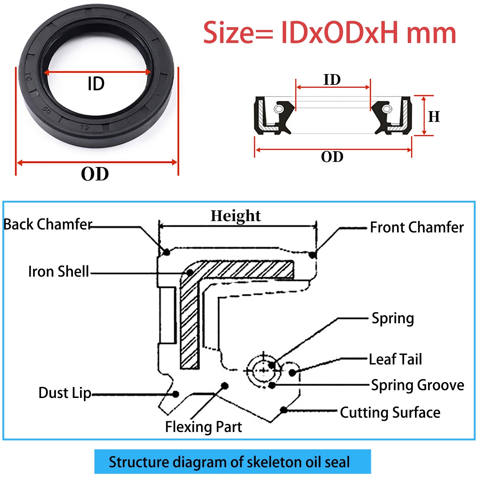 TC Double Lip NBR Rotary Shaft Oil Seal — 140mm to 400mm ID (FB / TG4 Type)